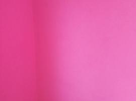 Hotel sby stay, khách sạn ở Champawat