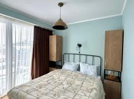 Bakuriani apartment 210
