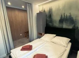 W Naturze - Apartament dla Aktywnych z Balkonem i Widokiem na Góry, blisko Szlaki, przy Stoku z wyciągiem Dolina Szczęścia