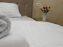 CASA BELLINA Apartamente Tomești - Iasi