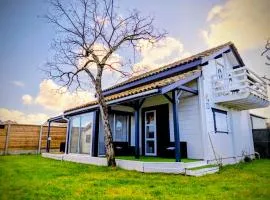 chalet 6 personnes bassin d'arcachon