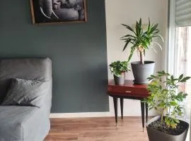 Petite maison avec cour privative