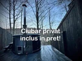 M Cabin Tree house Predeal Ciubar