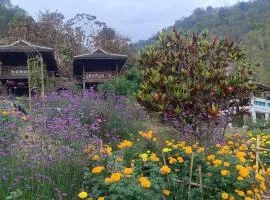 Camelliana Horizon Pongyang -Nature Retreat