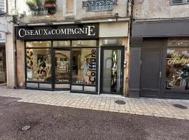 Appartement spacieux, au cœur de la ville 54 m