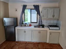 L&M for rent