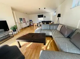 Entire Home in Billund Center