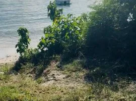 Chambre d'Hôtes SOHO Habitation ANNABEL'S