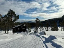 Cosy cabin between lake and mountain