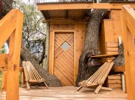 Aguas Antiguas Casa en el Arbol