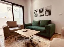 luxueux S2 a jardin de Carthage