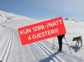 Fantastic and high standard apartment in Nordseter