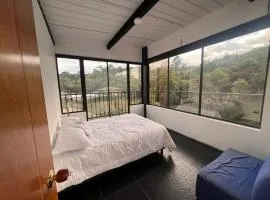 Ventana al bosque