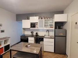 Notre bout du monde t1bis brest centre terrasse