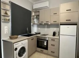 Grey Studio House