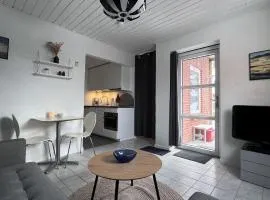 Cozy apartment with private terrace close to downtown