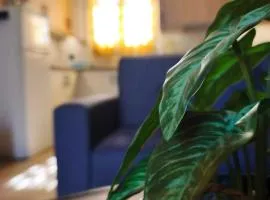 Mastic Serenity County House