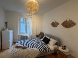 Central Cozy Rooms
