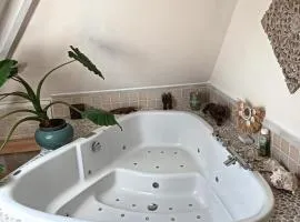 Modern Cozy Asian Style bedroom with Kingsize Spa bath