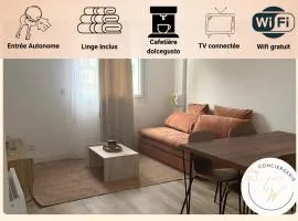 Charmant Appartement Moderne B