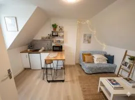 Petit cocon à Tours 2 min a pied de la gare de Tours