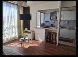 Departamento Copayapu