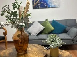 Acogedor y céntrico Departamento