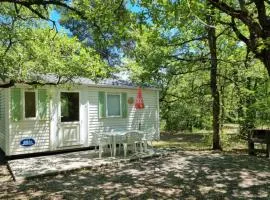 Mobil-home confortable avec terrasse - 4 pers. - API-1-52-1994