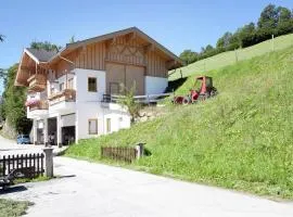 Chalet in Mittersill near Ski Slopes