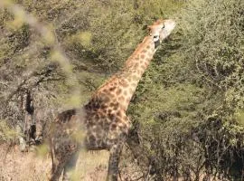 Deltrade Wedding and Camp