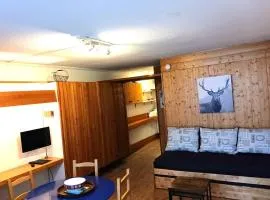 Résidence Cascade - studio 30m² exposition sud belle vue sur la place du soleil pied des psites MAE-6564