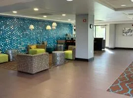 Comfort Inn & Suites Tampa North I-75