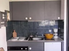 Résidence Le Plein Soleil 2 - Studio 4 personnes, résidence Plein Soleil 2 à ORCIERES-MERLETTE, Alpes du Sud MAE-7574