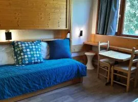 Résidence Nova 1 - Studette 2 personnes pied des pistes MAE-6554