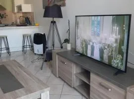 La citadine balcon, terrasse, fibre, centre-ville