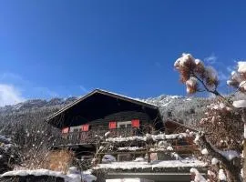 Newly renovated chalet with mountain views