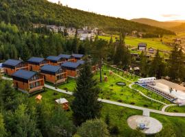 Phoenix Relax Park, отель в Буковеле