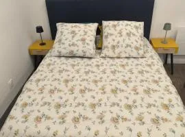 La Maison de violette meublé classé 3 étoiles