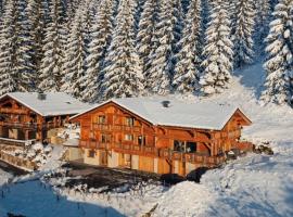Chalet Arpitan - les Carroz - Grand Massif, hotel a Les Carroz d'Araches