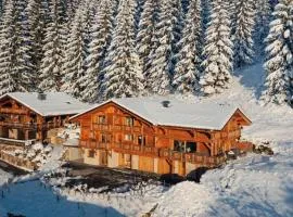 Chalet Arpitan - les Carroz - Grand Massif
