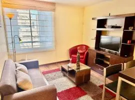 Depto a pasos de Lastarria y Bellas Artes