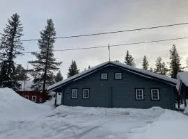 beautiful mountains in Slen hgfjllet Sweden
