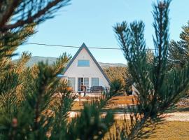 Villa Madalina Blidinje, hôtel à Svinjača