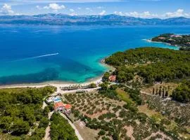Beachfront House Mir with private pool and jacuzzi right at the beach in beautiful bay in Mirca - Brac