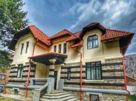 Vila Rapsodia Sinaia