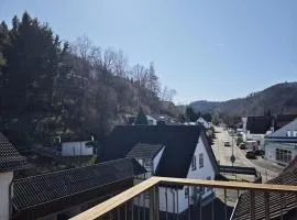 Eifeloase 1 und 2 für insgesamt 12 Personen plus Haustiere