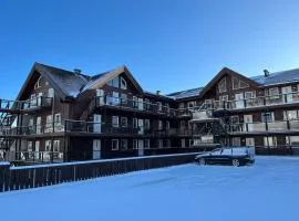 Penthouse close to the city center