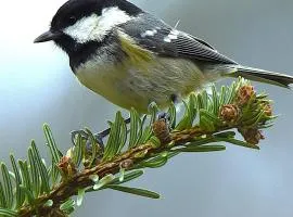 Maison d hote avec diner