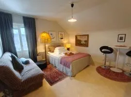 Ljus vindslägenhet- Nära Centralstationen