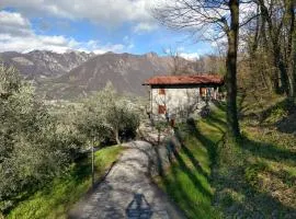 Oasi delle Querce casa nel bosco vista lago e comfort a Monte Isola